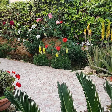 Philippou & Apartman Lárnaka