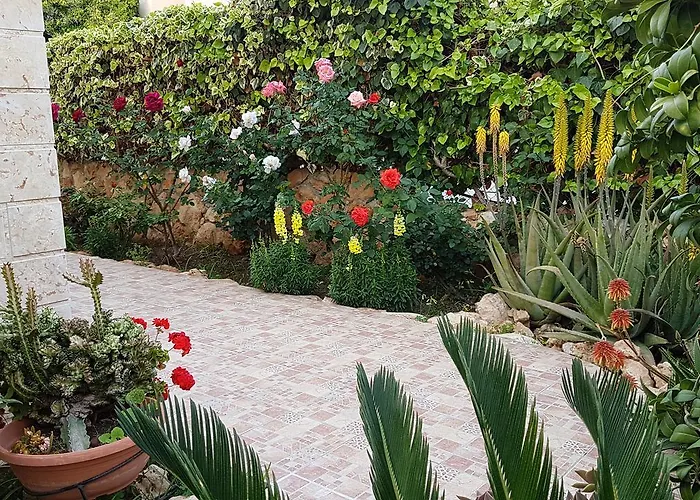 Philippou & Apartament Larnaca